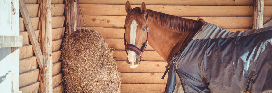 couvrir un cheval